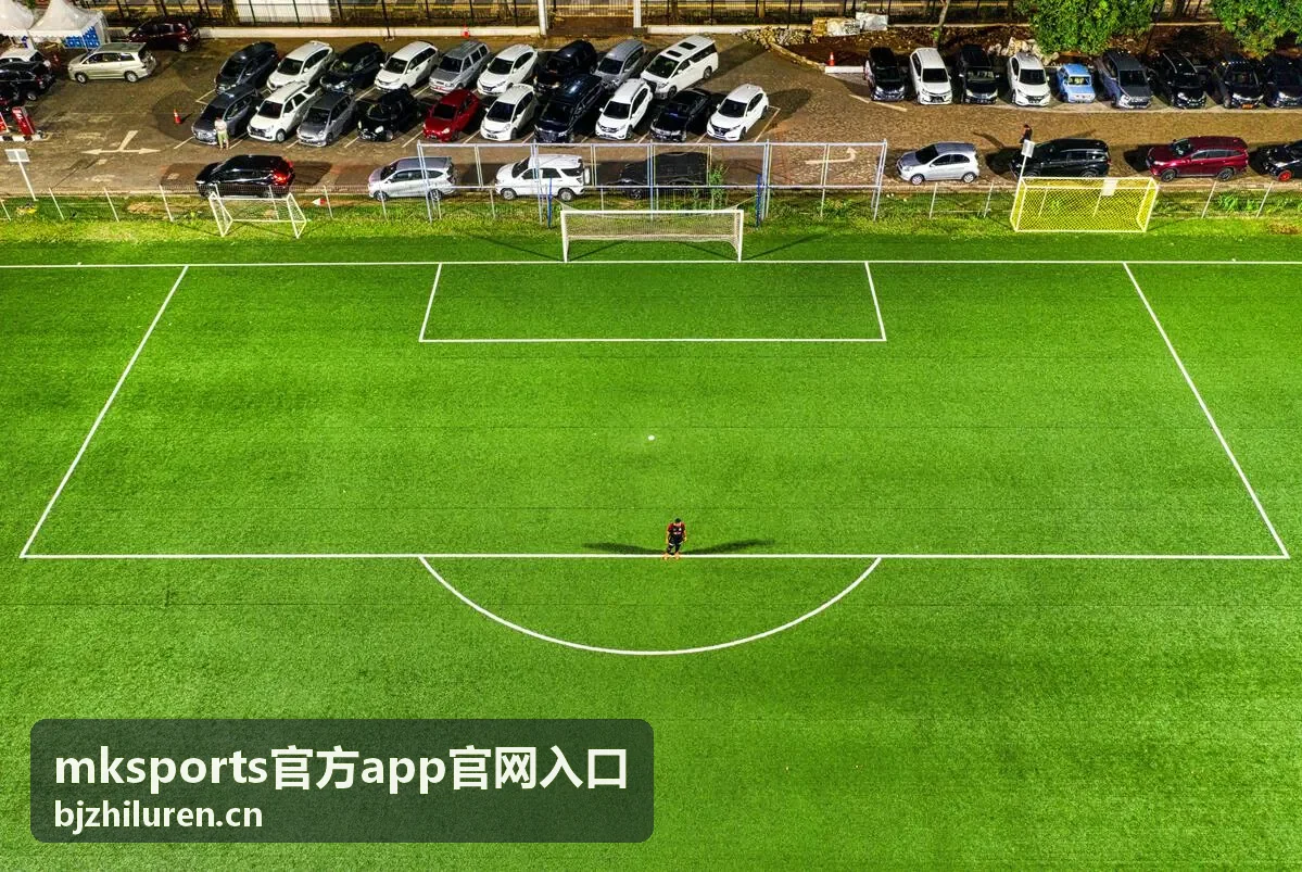 mksports官方app官网入口客户端安装界面示意